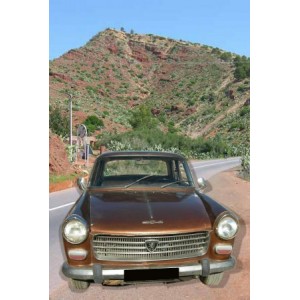 Peugeot berline 404 bronze 1965