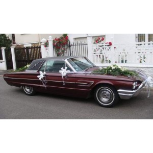 ford thunderbird coupé 1965