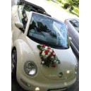 volkwagen new beetle coccinelle cabriolet 2004