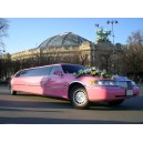 lincoln limousine rose 2001