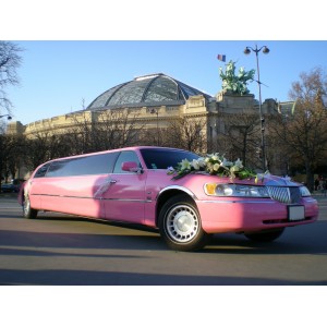 lincoln limousine rose 2001