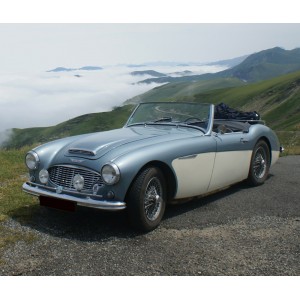 Austin Healey roadster 1959