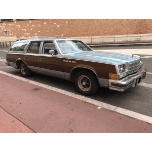 buick estate wagon de 1977