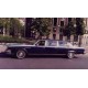 Buick regal Limousine 1979