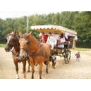 Calèche Wagonette 2004