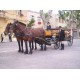 Calèche Vis à Vis 1910