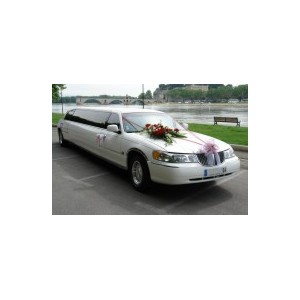 Lincoln Wave Limousine 2003