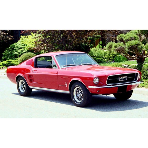Specialty ford mustang coupe #8